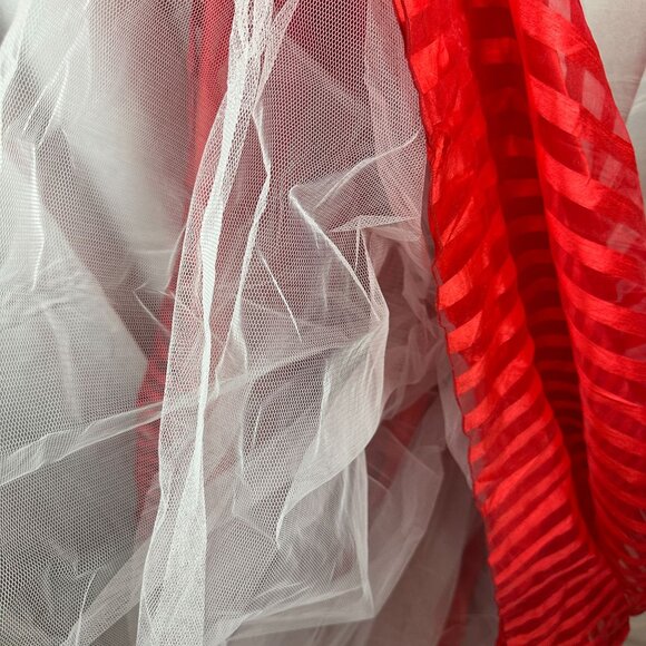 Elegant Red Beaded Waist Prom Skirt Moon Light Size 2 Pleated Tulle Underskirt - Picture 4 of 8